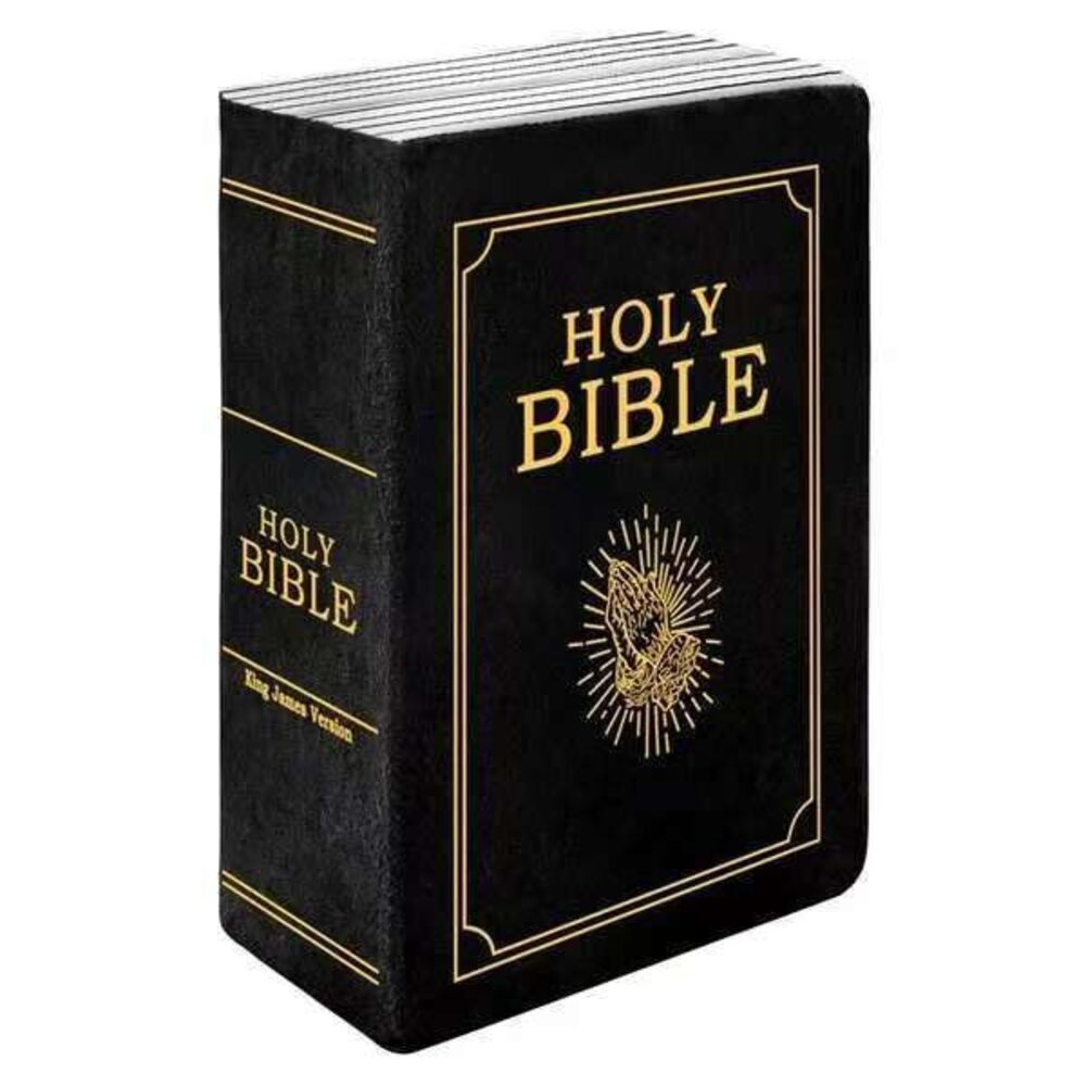 9705 Bible Pillow13x8.8x4 InchesBible Pillow Book Plush That Opens